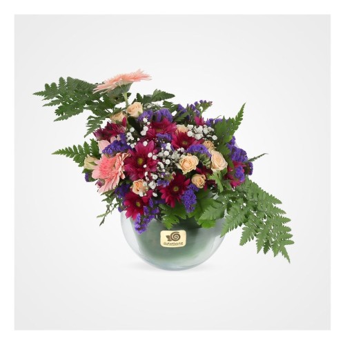 Avin Gerberas Flower Vase